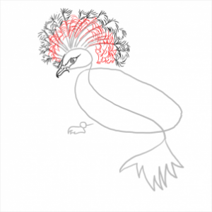 how-to-draw-pigeons-step-11_1_000000112331_3