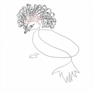 how-to-draw-pigeons-step-12_1_000000112333_3
