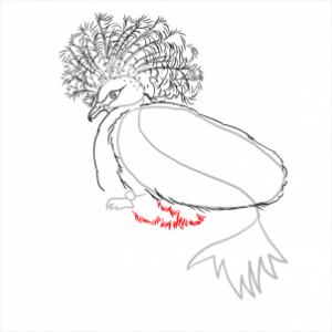 how-to-draw-pigeons-step-14_1_000000112337_3