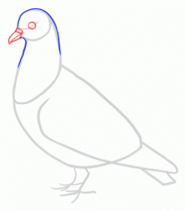 how-to-draw-pigeons-step-6_1_000000141711_3