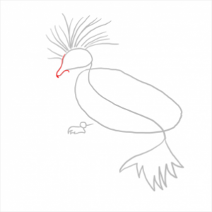 how-to-draw-pigeons-step-7_1_000000112323_3