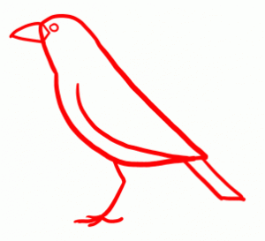 how-to-draw-ravens-step-2_1_000000154174_3