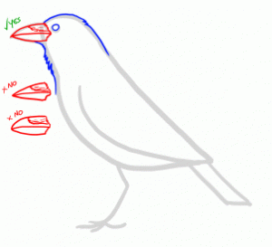 how-to-draw-ravens-step-4_1_000000154176_3