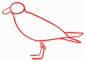 how-to-draw-seagulls-step-4_1_000000144583_3