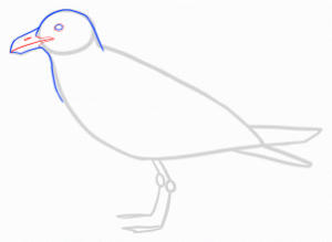 how-to-draw-seagulls-step-7_1_000000144589_3