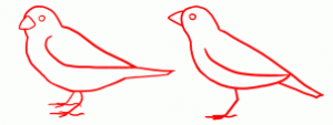 how-to-draw-sparrows-step-2_1_000000154447_3