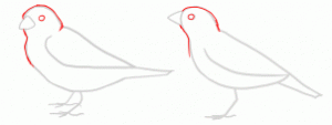 how-to-draw-sparrows-step-3_1_000000154448_3