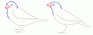 how-to-draw-sparrows-step-4_1_000000154449_3