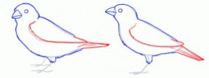 how-to-draw-sparrows-step-6_1_000000154451_3