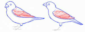 how-to-draw-sparrows-step-7_1_000000154452_3