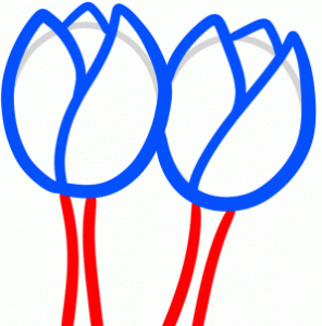 how-to-draw-tullips-for-kids-step-5_1_000000094575_3