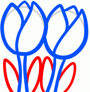 how-to-draw-tullips-for-kids-step-6_1_000000094577_3