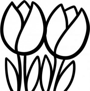 Как рисовать тюльпаны поэтапно легко