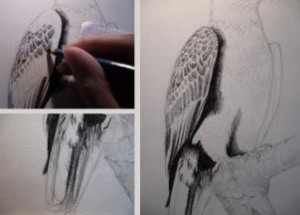 how-to-sketch-a-bald-eagle-step-6_1_000000167449_3