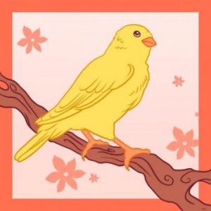 how-to-draw-a-canary_1_000000004313_3