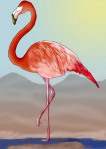 how-to-draw-a-flamingo_1_000000000233_3