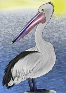 how-to-draw-a-pelican_1_000000000249_3