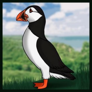 how-to-draw-a-puffin_1_000000003955_3