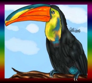 how-to-draw-a-toucan_1_000000000730_3