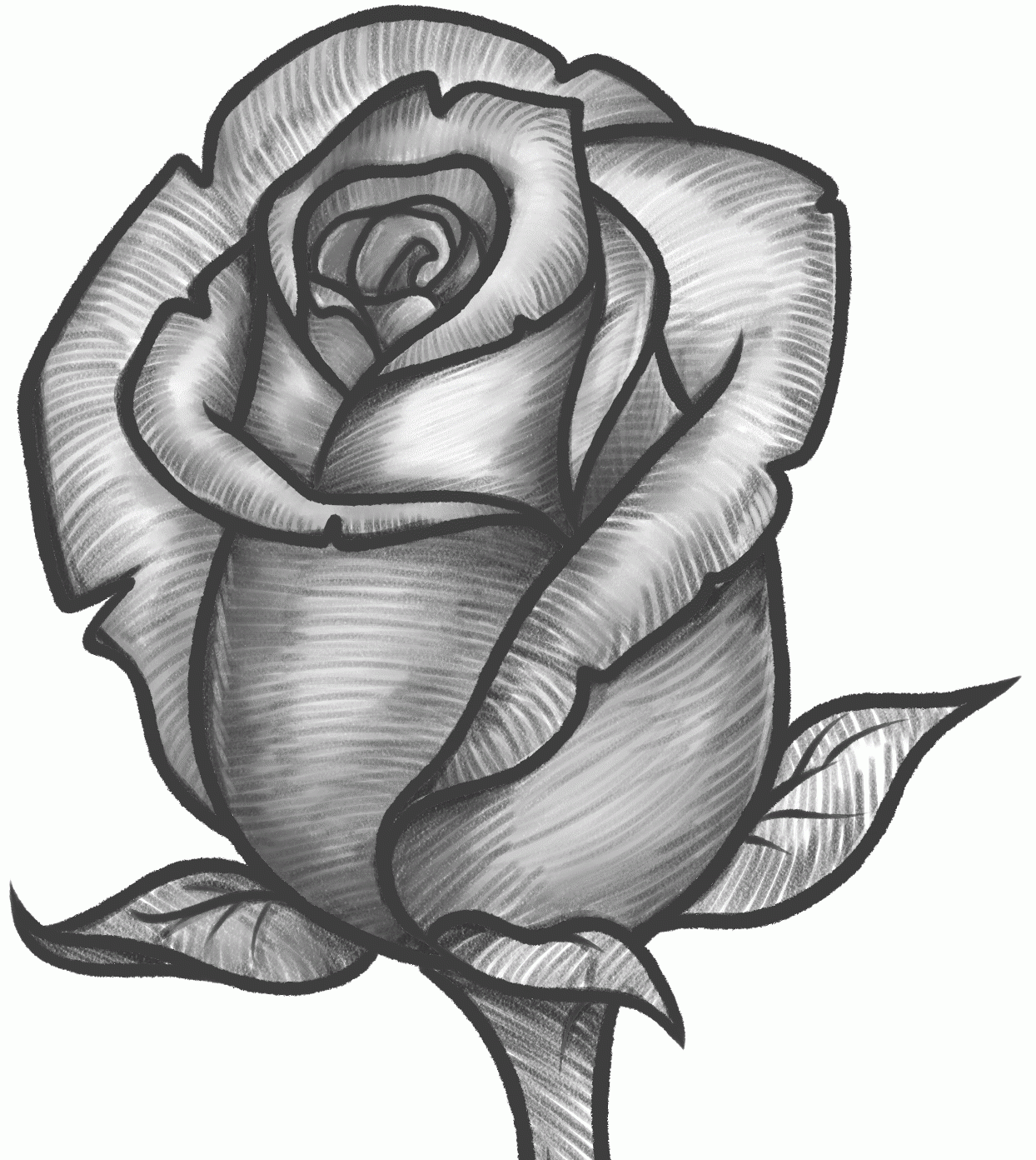 how-to-draw-a-rose-bud-rose-bud-step-11_1_000000131361_5