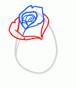 how-to-draw-a-rose-bud-rose-bud-step-4_1_000000131347_3
