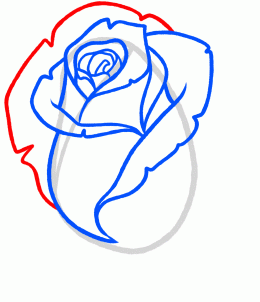 how-to-draw-a-rose-bud-rose-bud-step-6_1_000000131351_3