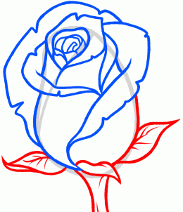 how-to-draw-a-rose-bud-rose-bud-step-7_1_000000131353_3
