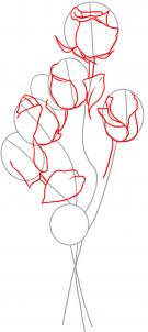 how-to-draw-roses-step-2_1_000000018289_3