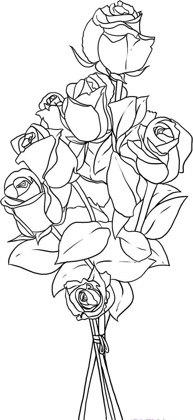 how-to-draw-roses-step-7_1_000000018299_5
