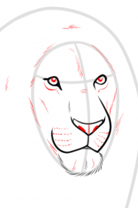 drawing-a-realistic-lion-step-4_1_000000185964_3