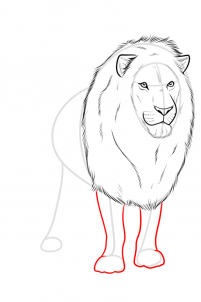 drawing-a-realistic-lion-step-8_1_000000185968_3
