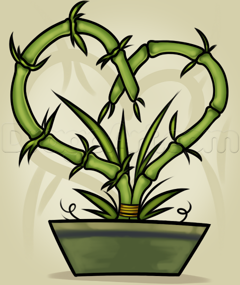 how-to-draw-a-bamboo-plant_1_000000019217_5