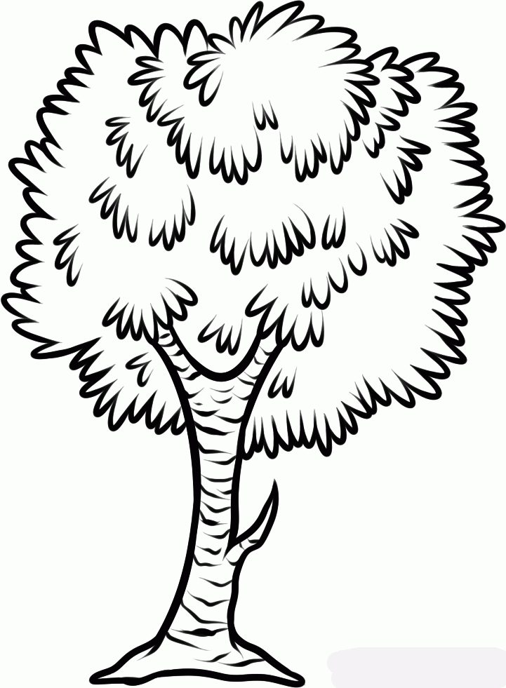 how-to-draw-a-birch-tree-step-6_1_000000134489_5