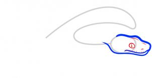 how-to-draw-a-boa-constrictor-step-3_1_000000083541_3