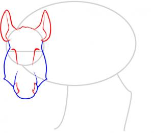 how-to-draw-a-boar-wild-boar-step-3_1_000000053337_3