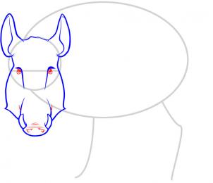 how-to-draw-a-boar-wild-boar-step-4_1_000000053339_3