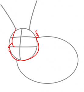 how-to-draw-a-bunny-rabbit-step-2_1_000000027889_3
