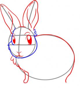 how-to-draw-a-bunny-rabbit-step-3_1_000000027891_3