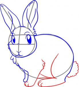 how-to-draw-a-bunny-rabbit-step-4_1_000000027893_3