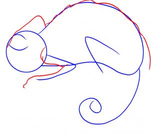 how-to-draw-a-chameleon-step-2_1_000000006723_3