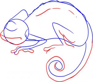 how-to-draw-a-chameleon-step-3_1_000000006724_3