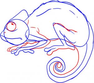 how-to-draw-a-chameleon-step-4_1_000000006725_3