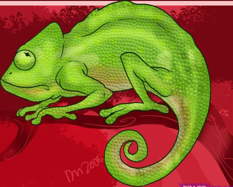 how-to-draw-a-chameleon_1_000000001591_5