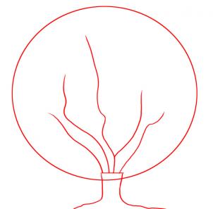 how-to-draw-a-cherry-tree-step-1_1_000000008400_3
