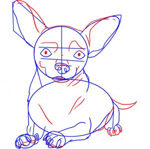 how-to-draw-a-chihuahua-step-4_1_000000004056_3