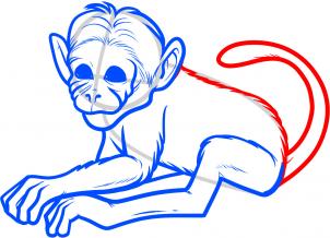 how-to-draw-a-chimeric-monkey-chimeric-monkeys-step-7_1_000000086031_3