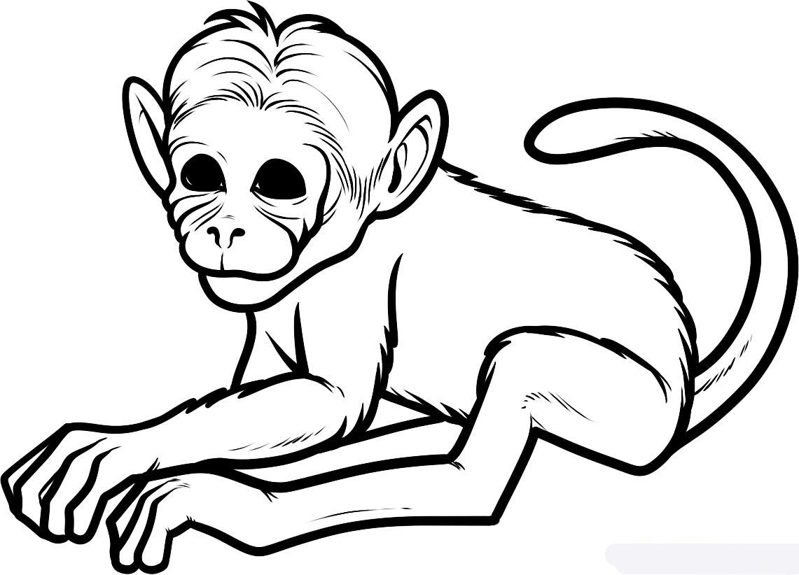 how-to-draw-a-chimeric-monkey-chimeric-monkeys-step-8_1_000000086033_5