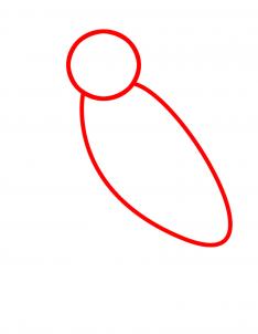 how-to-draw-a-cockatoo-step-1_1_000000090775_3