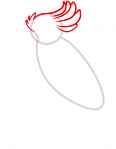 how-to-draw-a-cockatoo-step-2_1_000000090777_3