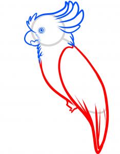 how-to-draw-a-cockatoo-step-4_1_000000090781_3